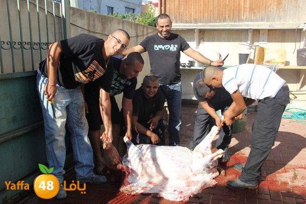 dabe7 ludj31 (8).JPG